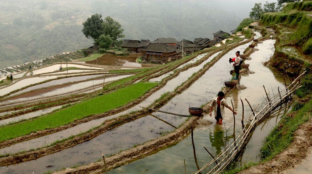 Congjiang Jiabang Terraced Fields